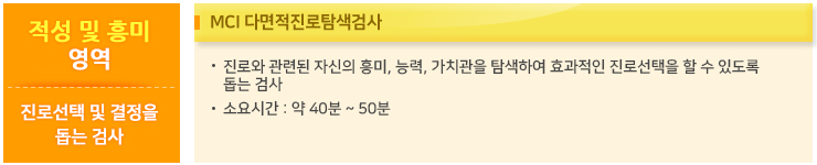 적성 및 흥미영역